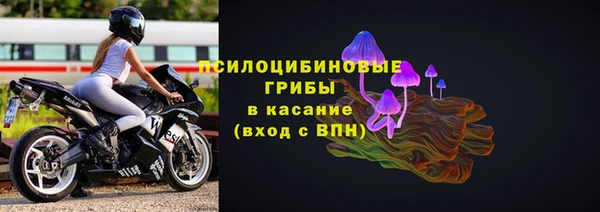 сатива Богородск