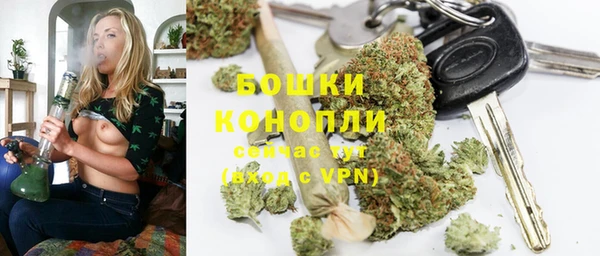 сатива Богородск