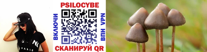 Псилоцибиновые грибы мицелий  купить наркотики сайты  кракен ТОР  Тогучин 